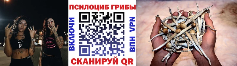 Псилоцибиновые грибы Psilocybe  мега маркетплейс  Ноябрьск 