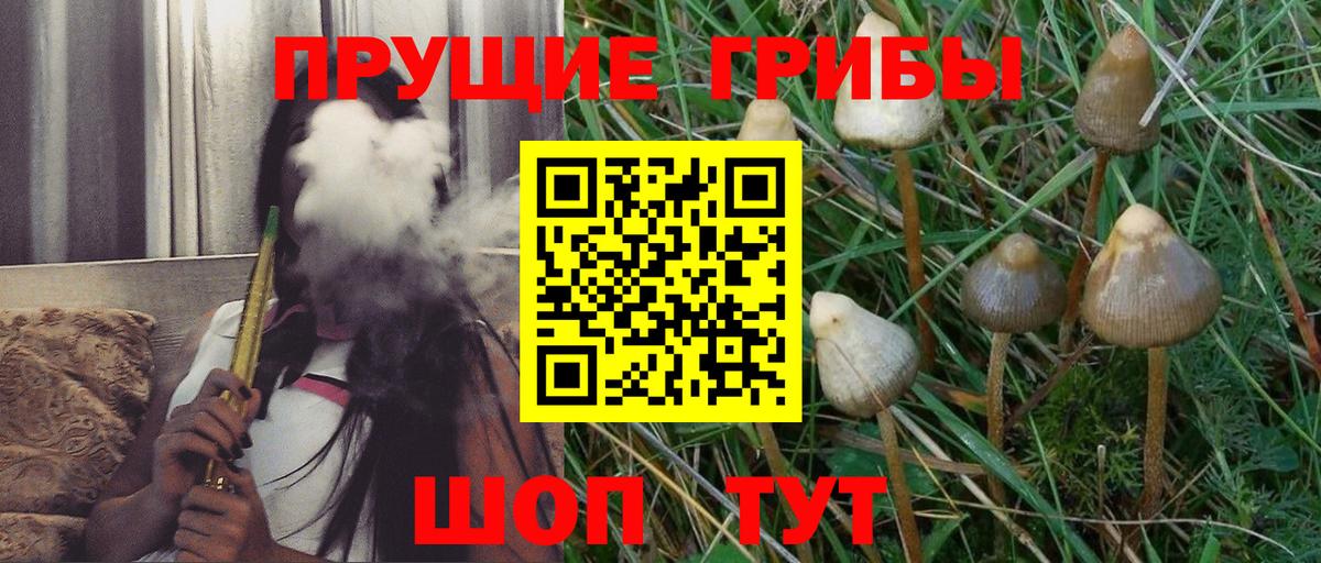 Псилоцибиновые грибы GOLDEN TEACHER  Вход с VPN  Галлюциногенные грибы прущие грибы  Ноябрьск 