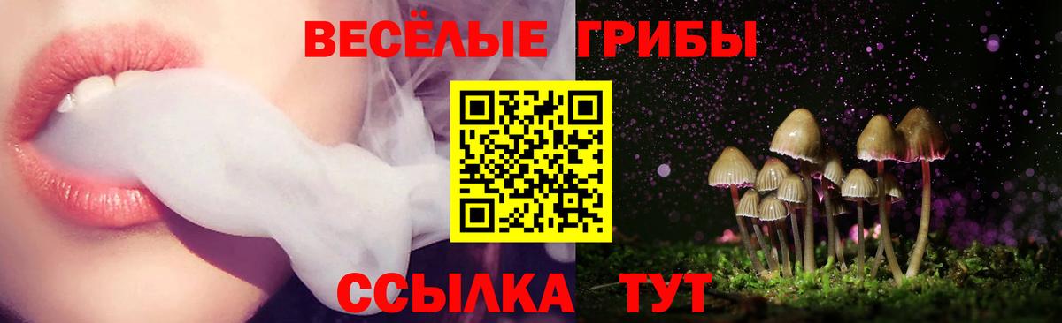 Галлюциногенные грибы мицелий Ноябрьск